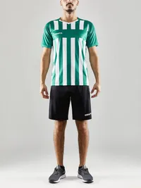 1910175-651900_Progress 2.0 Stripe Jersey M_Closeup4.jpg
